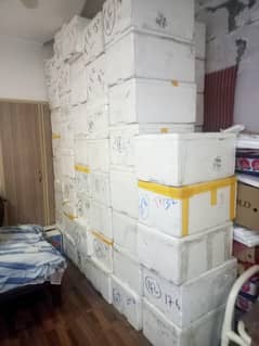 Thermocol Boxes -