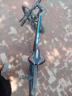 Alloye rim cycle