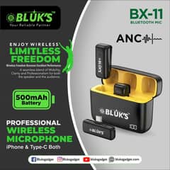 BLUK'S