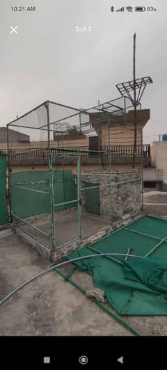 pegion cage