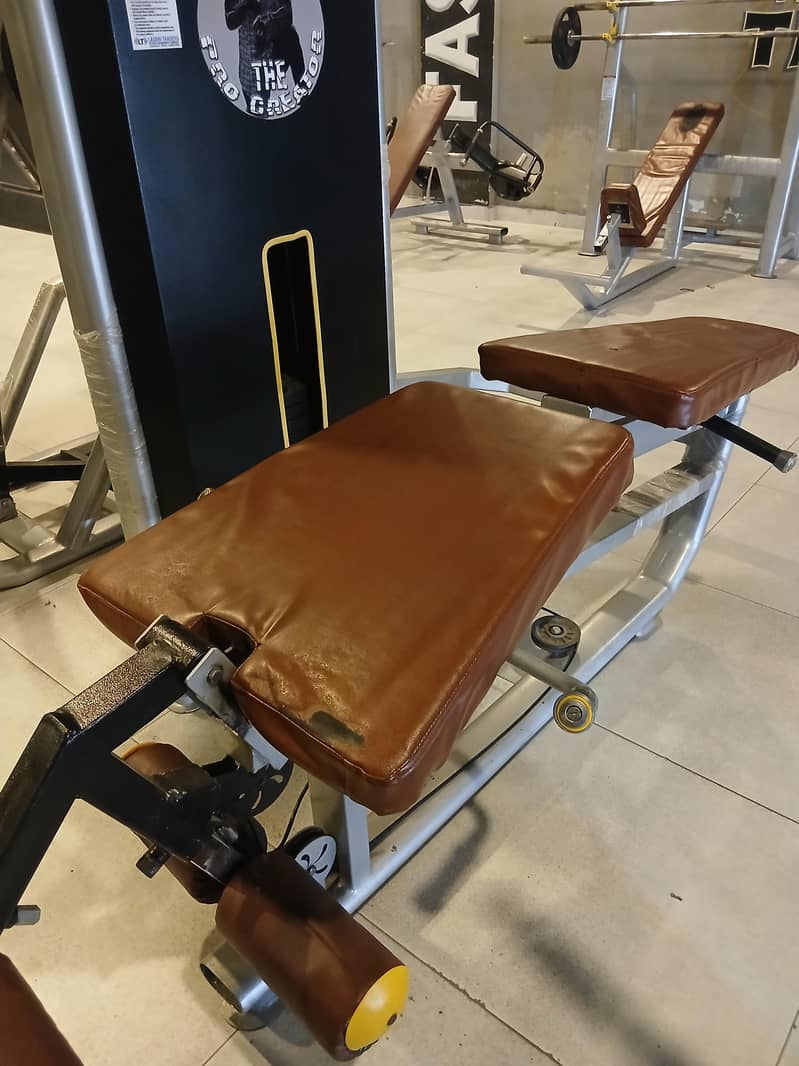 chest flies and leg curl and hamstring extention for sale 5