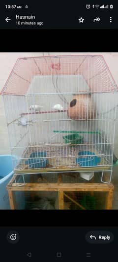 java pair for sale with cage 3000