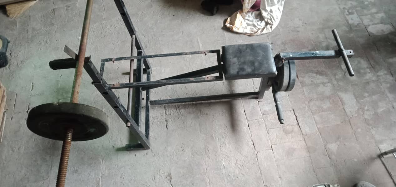gym multiple exerciser . 3