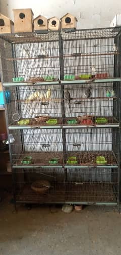 fix cage 8 portion size 2/1.5 angle patti cont;0/3/2/2/1/3/5/4/0/3/0