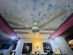 BREEZE BRAND NEW FANS