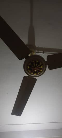 mughal fan