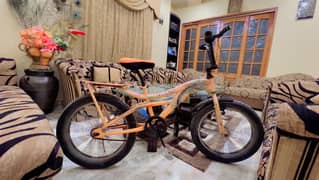 BMX Fat Tyre Bicycle