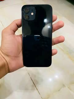 iPhone 12 100 health 10/10 water pack