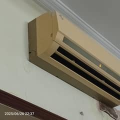 PEL