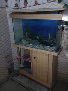 Fish aquarium for sale all asserious complete