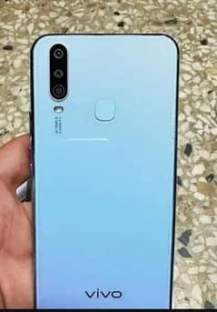 vivo