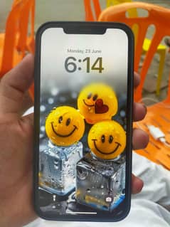 iPhone 12pro max jv