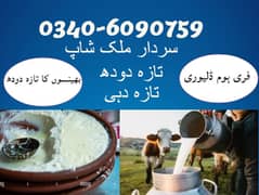Fresh Milk /   Milk / Dahi / Curd /  تازہ بھینس کا دودھ / دود   /  دہ