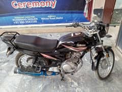 Yamaha