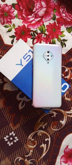 y51