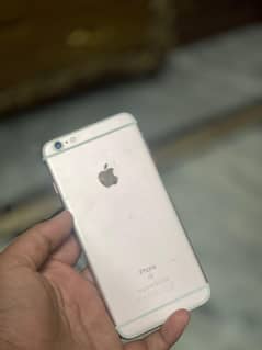back