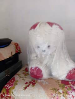 Big taddy Bears