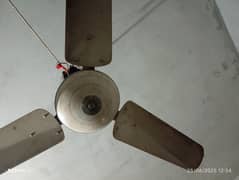 Ceiling Fan