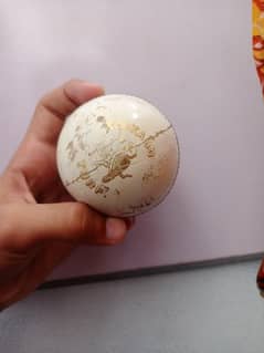 Kookaburra Australian brand original ball
