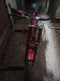 Bicycle