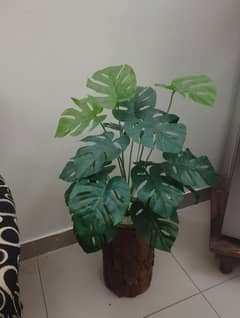 Artificial Plant-Flower with Natural like POT