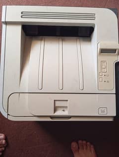 hp laserjet p255dn new
