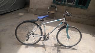 chevaux cycle