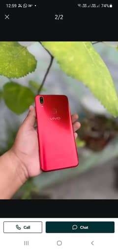 Vivo