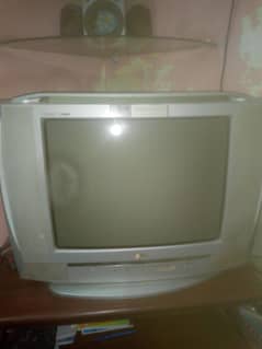 LG