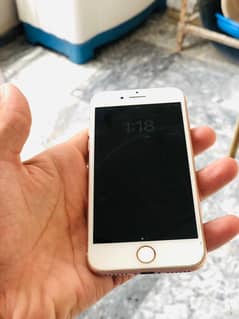 I phone 8 10/10 Sim working  i phone