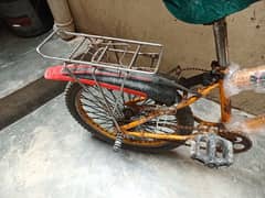 10_12 year kid cycle