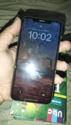 11 pro max
