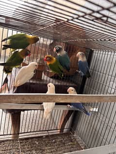 Fishers for sale