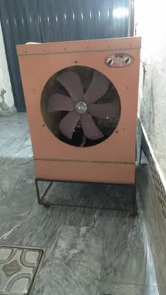 Lahori Room Cooler for Sale