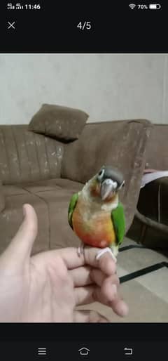 HAND