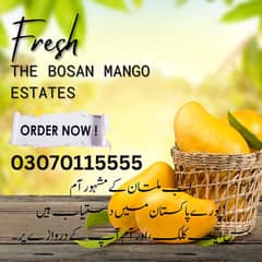 Farm Fresh Export quality mangoes! Multani chaunsa, Anwar ratool &More