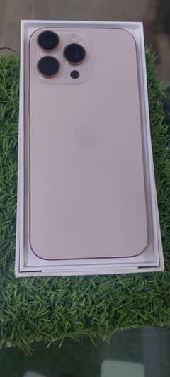 16 pro maxx (h. k)