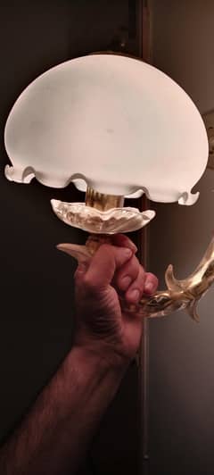 Wall hanging Lamp shades Pair