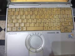 Acer