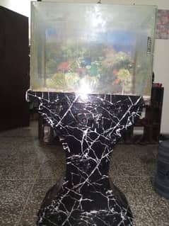 fish aquraim for sale