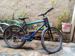 Phoenix bicycle