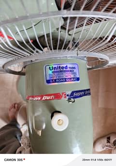 United fan