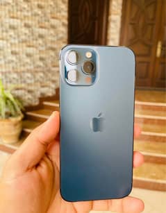 i phone 12 pro max
