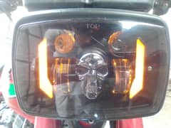 Skull Pannel For Sale.