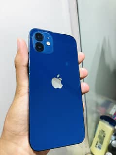 iPhone 12 jv 64 waterpack set back pay jelly sheet hay urgent cash
