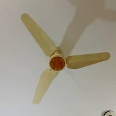 super Asia AC DC fans 10/10 one year use
