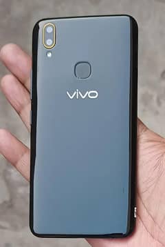 Vivo