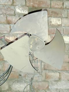 fan