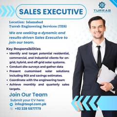 SALES EXECUTIVE