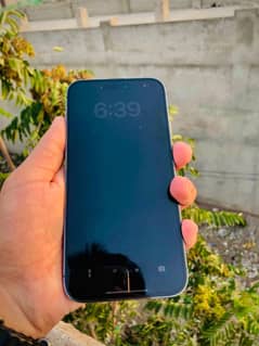 iPhone